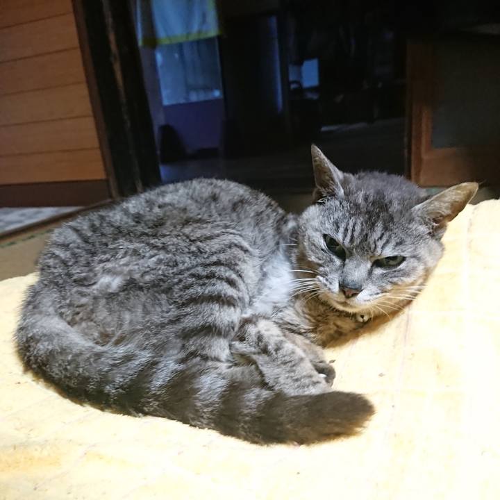 5e99ad88 dedf 4191 8c13 2f9beff162b1 1594410924447