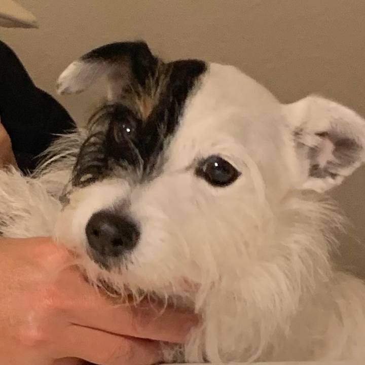 5e99b52a 66f5 4bc5 a935 bc6a8c09949b 1639131798075