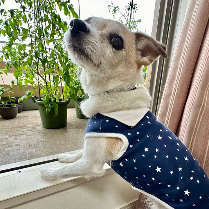 5e99b5ef 96f0 4592 82db b30d1039f07a 1718949311175