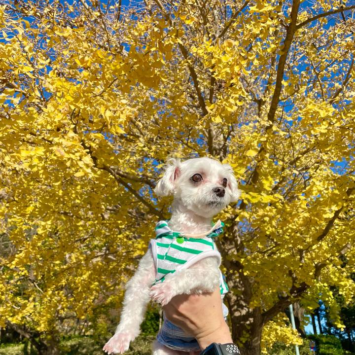 5e99bc3e 4a89 4118 a928 b780dbd43220 1638168162046