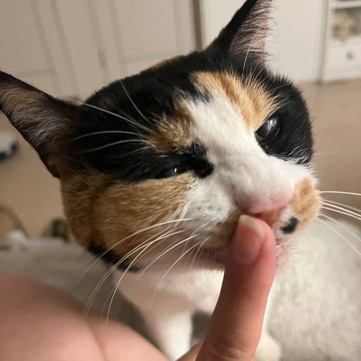 5e99eac3 dca5 4b3f ba20 403ec536d800 1686971797231