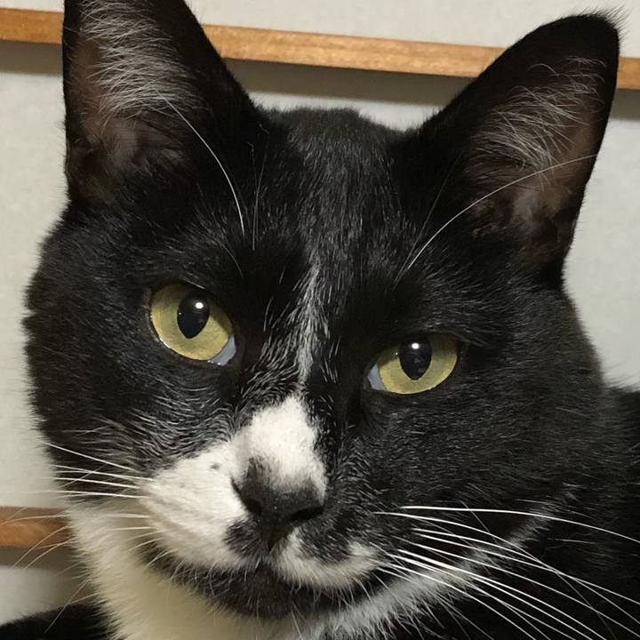 5e99f23b 1d45 43af b43b 0968d345a27e 1600485750583