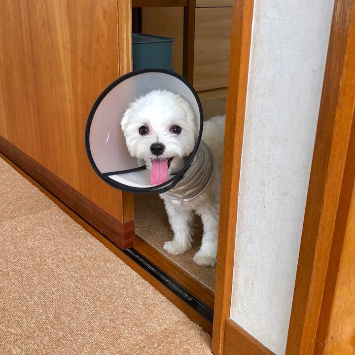 5e99fc4d a111 447e a773 b13a141eca44 1535702691427