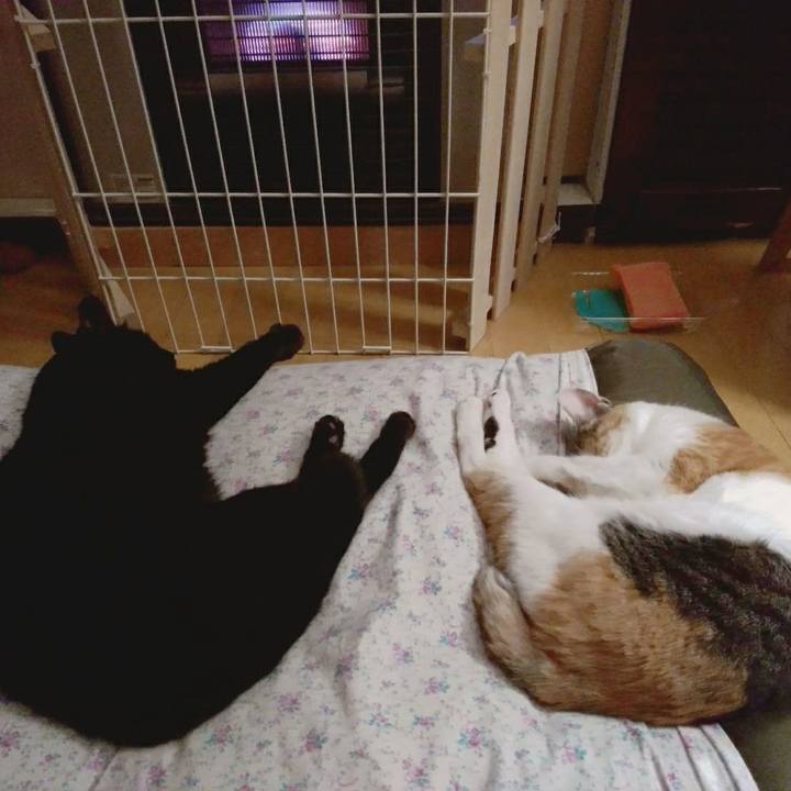 5e9aaa8e 32e0 4554 8100 7225281d0888 1575722463435