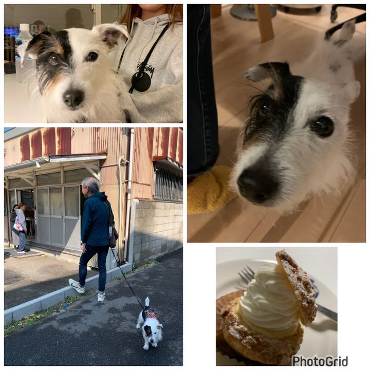 5e9adae0 1fae 4183 83b0 38801122db6b 1678428966312