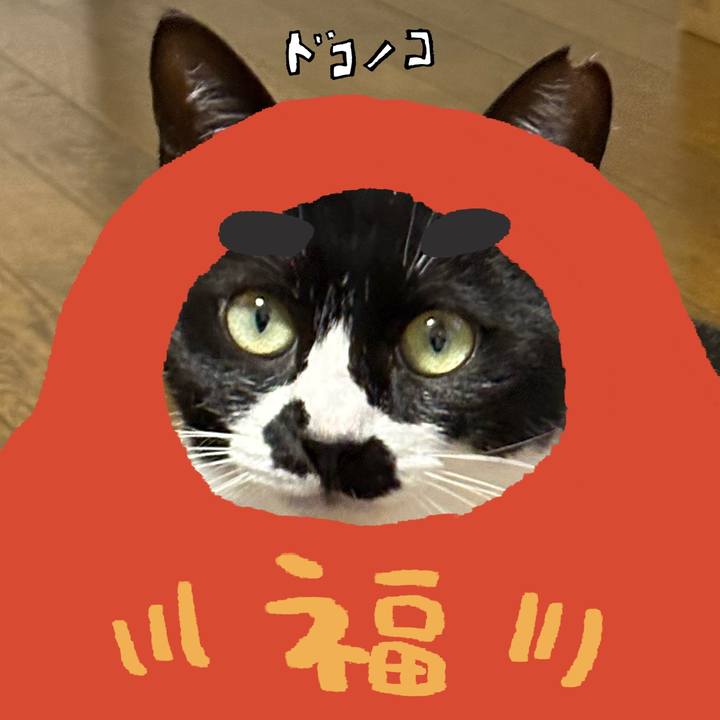 5e9af72e ff34 452c b765 c4f17587eda2 1772108518981