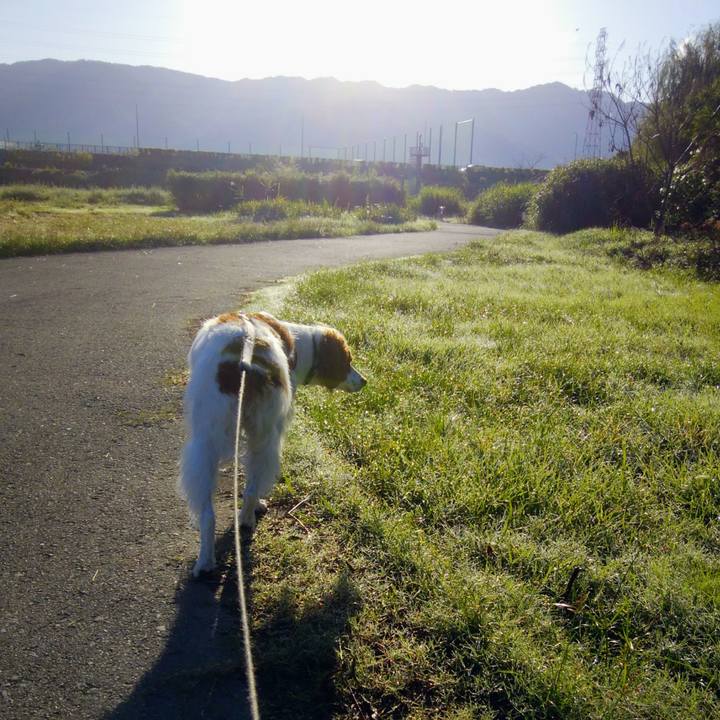 5e9b0452 6fe1 4609 9041 3f4a3896ebc8 1538096307092