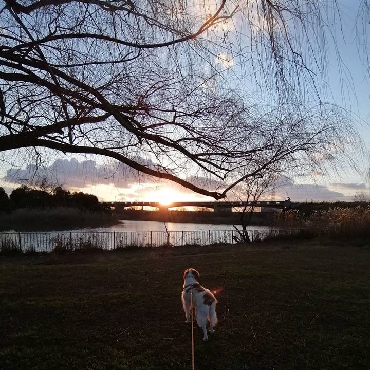 5e9b0fb8 6124 4bae 98bc afa1f09afc8a 1578913895982