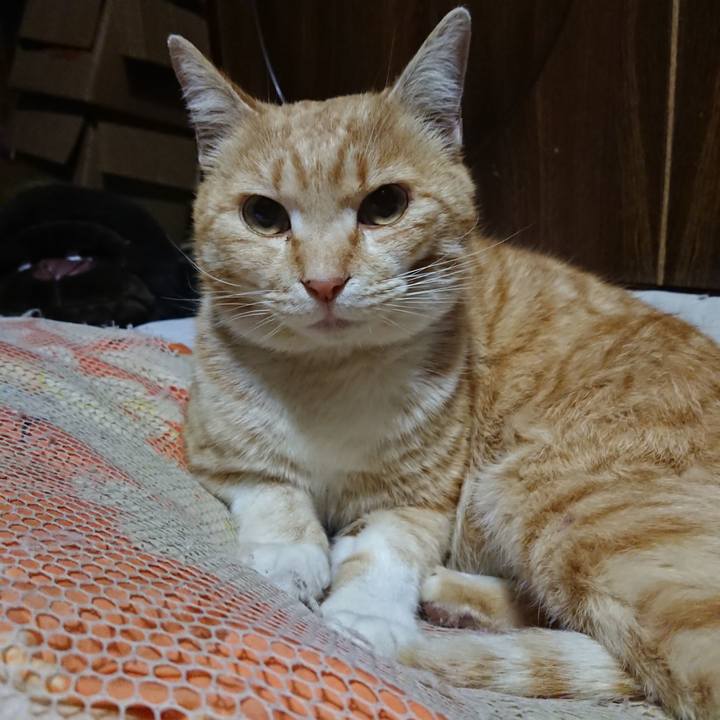 5e9b4d55 e3ca 4ece 85ab fca5ccd50757 1586866295623