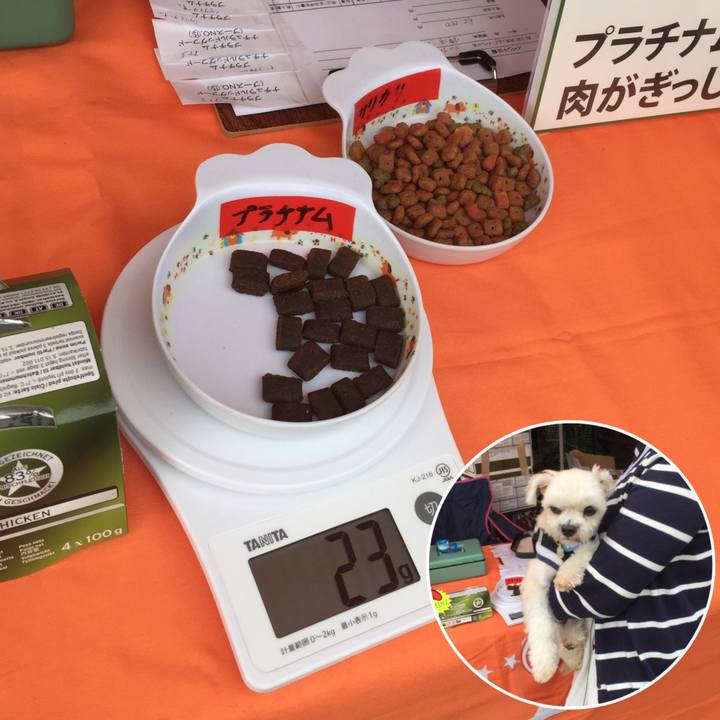 5e9b5fc0 8073 4dde a198 d44d275ccff0 1539557030608