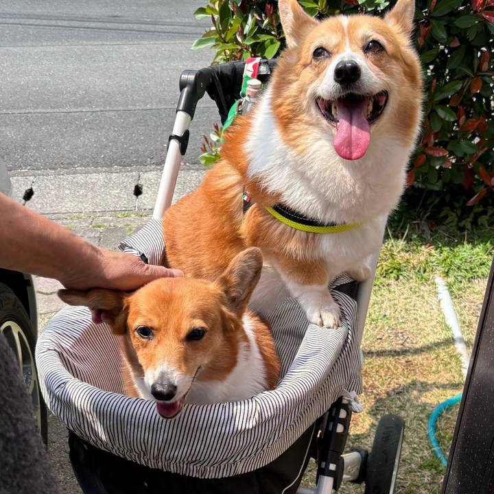 5e9b644c ba53 4346 81a4 2eddbcab919c 1744604015746