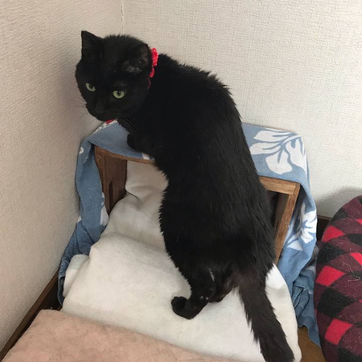 5e9b9320 1ae4 4815 9902 51f71eb2a505 1553301600419