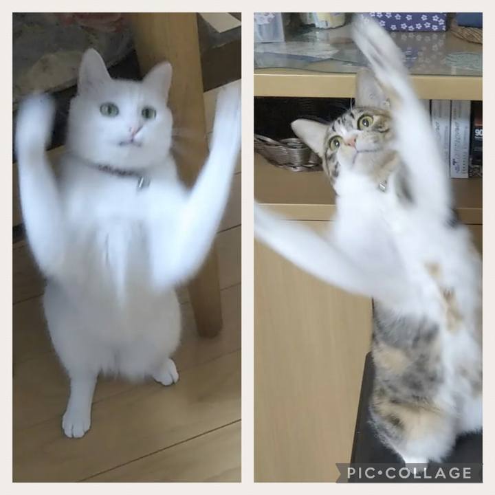 5e9bcfd1 bdb2 4c44 b735 da8b981bec4b 1677468048633