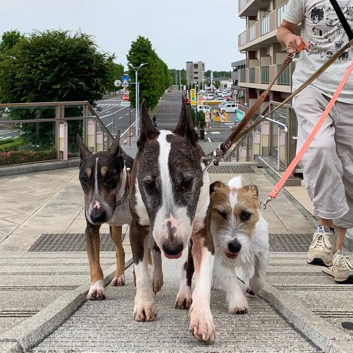 5e9be962 d323 4cfe 877a 53a61621f68c 1590923394130