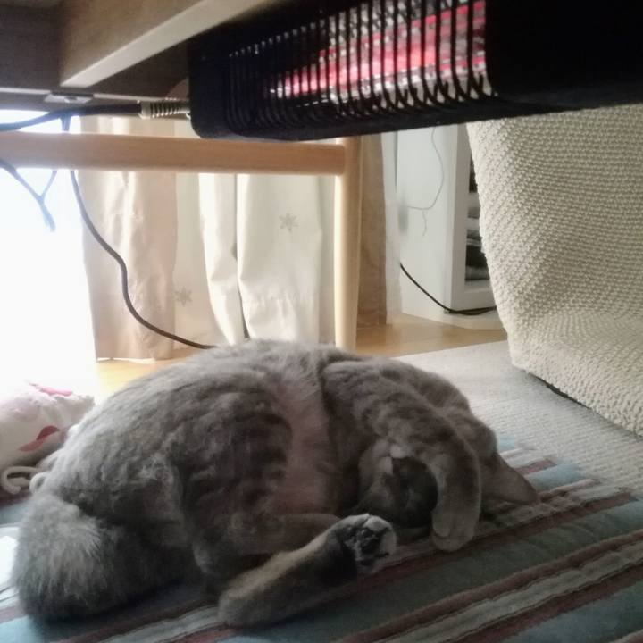 5e9c09bb e7aa 41f9 bff4 b0464ccde4d7 1508024162063