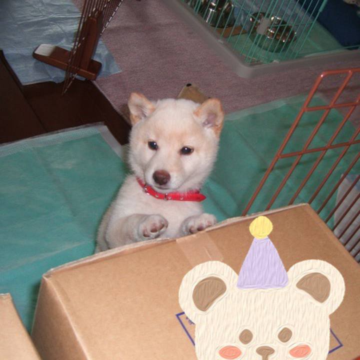 5e9c25e8 b422 46ed b78b e8664af060db 1638429519793