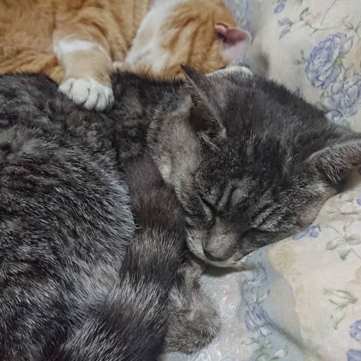 5e9cae8e a469 42de 94e3 ed7b9fbd166a 1575550845859