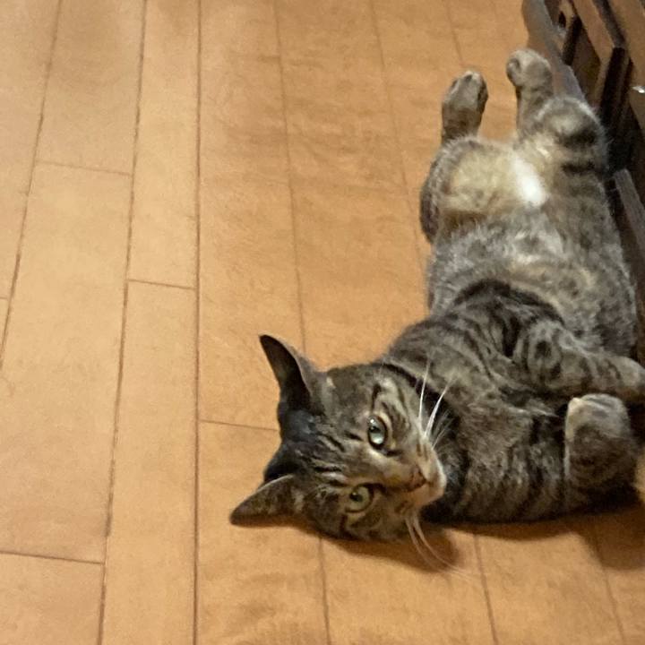 5e9cc7de e0d3 4dce a6d9 7771cace74fe 1611560891738