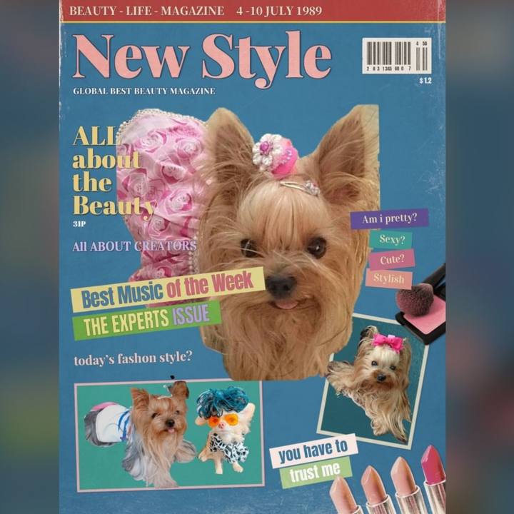 5e9d0bf0 1f9a 4fba 92e6 4c12091489e7 1645766465974