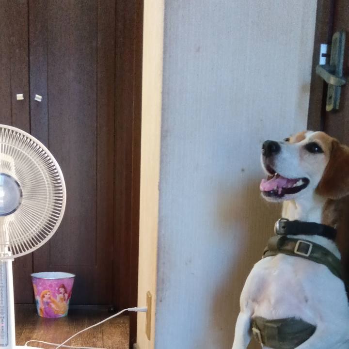 5e9d0f14 feb9 4705 a339 d8d6671c9788 1721560504462