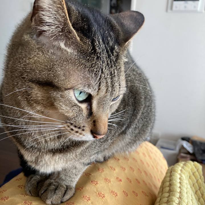 5e9d16cb 1514 4705 bed9 cd71cdae08d8 1770767557445