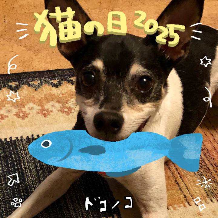 5e9d4335 0be3 41f0 883a b795acd26b3d 1740177493539