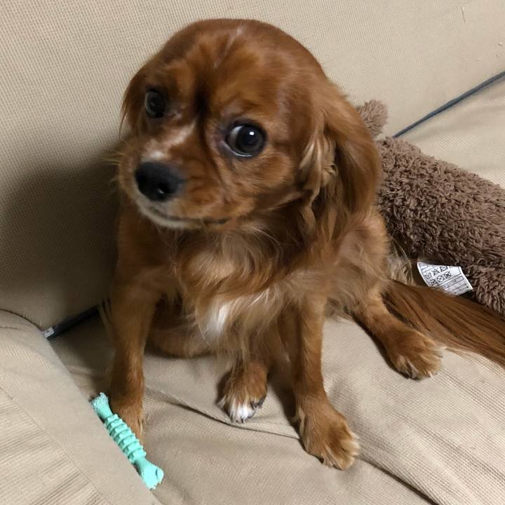 5e9d5074 5db5 44b9 9be9 08b061725184 1541595310079