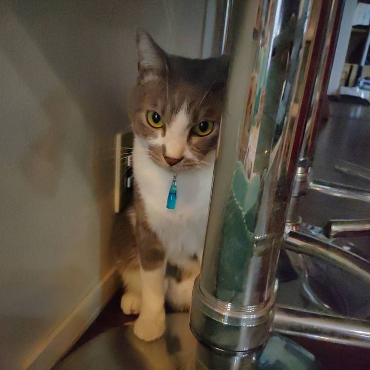 5e9dc326 0b3b 47c0 a195 a56348669389 1663625218109