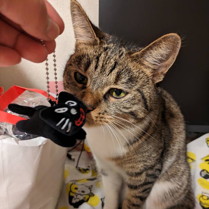 5e9ddbb4 ab18 4ef6 ac80 3466fe2a5c12 1696083478073