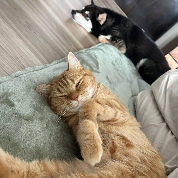 5e9e0f7a 76e9 4fe1 ade6 793fb73899cc 1749866154162