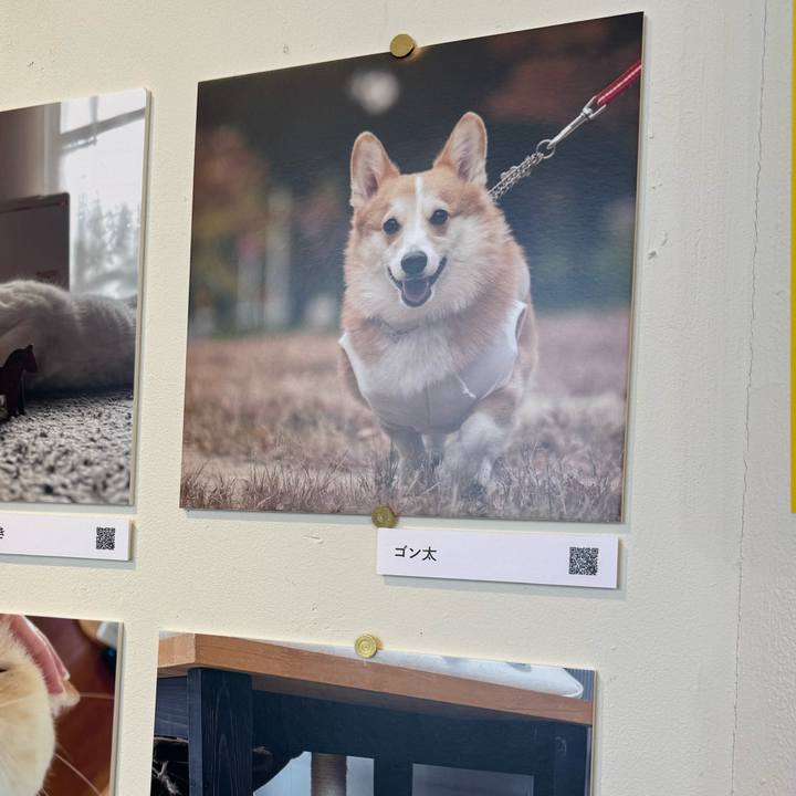 5e9e18a1 eb80 4efb 81fb a3de8aaa9327 1765336491260