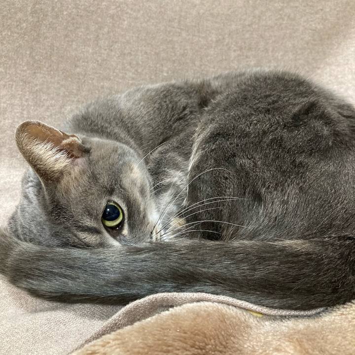 5e9e1d79 8f1c 4aeb aa14 301a2942793e 1609423071890