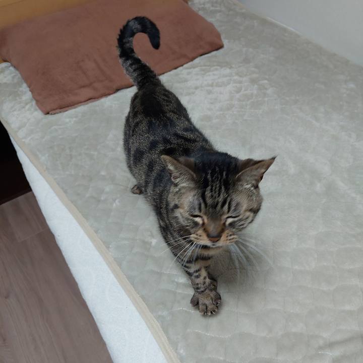 5e9e4035 b7d9 43d0 bc6b 3da2138b02cf 1646269581868