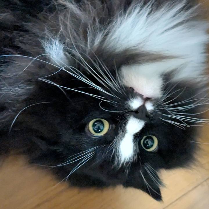 5e9e6898 b25b 4d7f a80a 1ad7ad5cf8c7 1757077404036