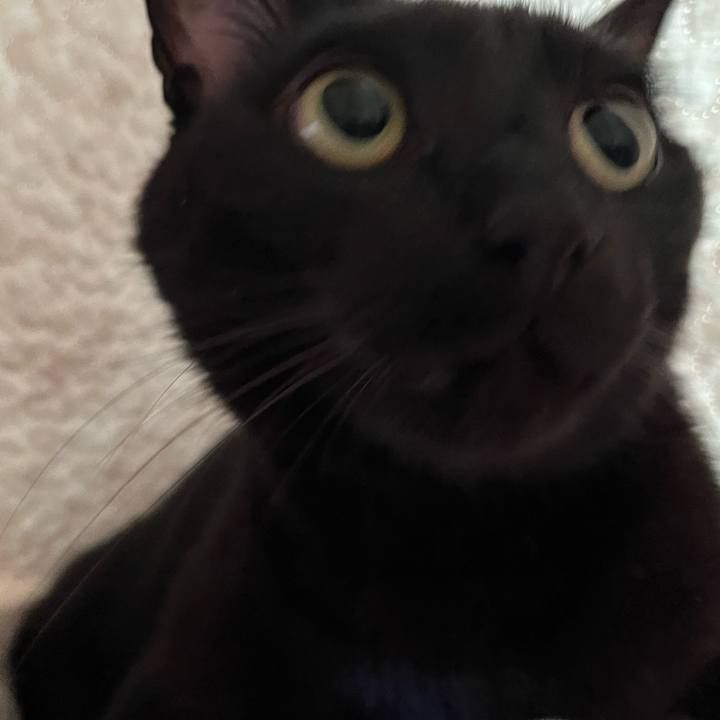 5e9e7613 2d47 4634 9b56 7e52ecae0b6f 1691283523792