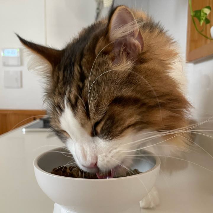 5e9e8ad6 a2a3 4a66 9ed7 b20607e158c1 1664488420797