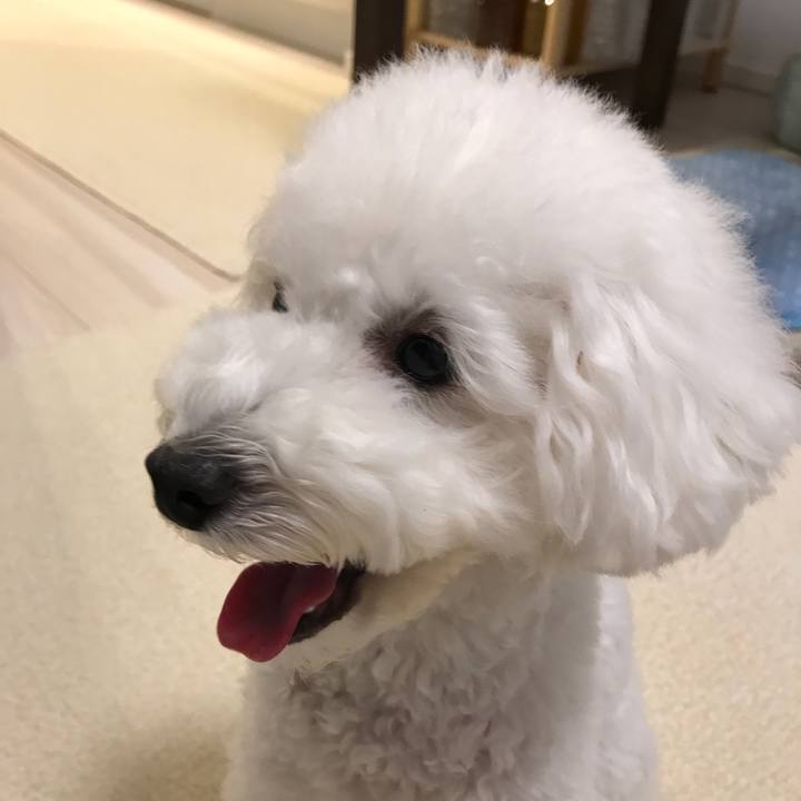 5e9eab23 fb1a 4fd9 ad9a 1f545e00c60d 1520587508285