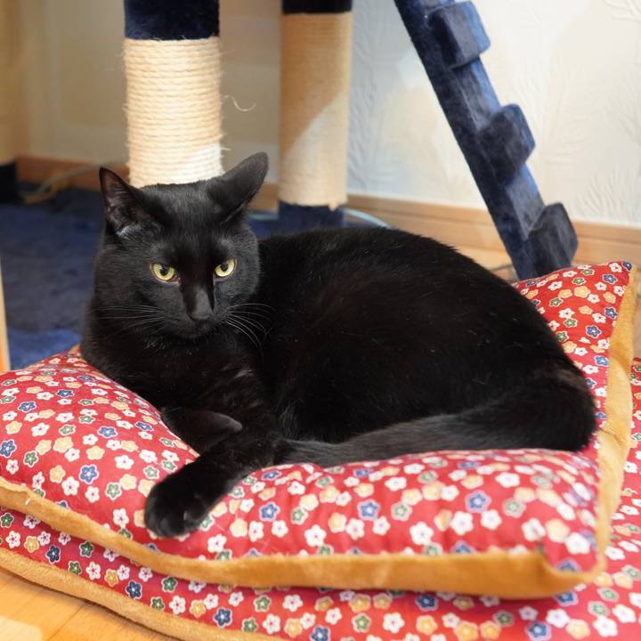 5e9ee860 a521 4bc9 9f1b c2a3436a1407 1590449639547