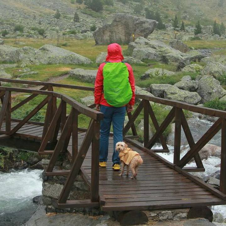 5e9efd51 13aa 4e58 b600 9965a9b1d5b2 1564667788430