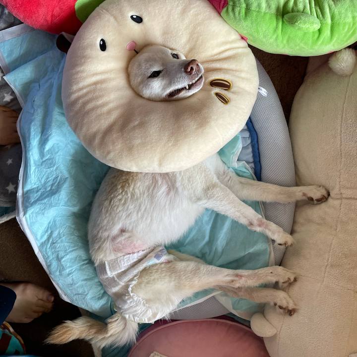 5e9f1ffe 5899 400f a227 c73b70fa5d7e 1679891899287