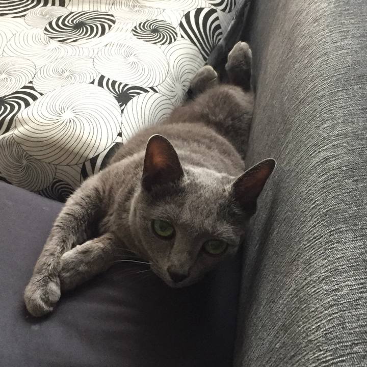 5e9f2a5d 4666 48d2 8e07 e52fa157ecae 1565651317111