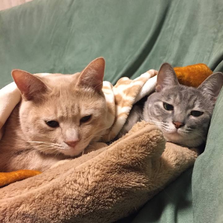 5e9f48b0 ad39 4cc2 b7ab 35600cdd1b65 1574001988810