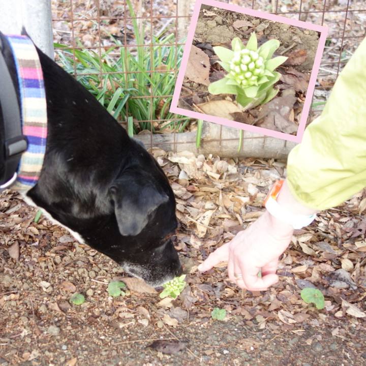 5e9f6b38 2d82 492a 8bcb dea1888e3f00 1647305022014