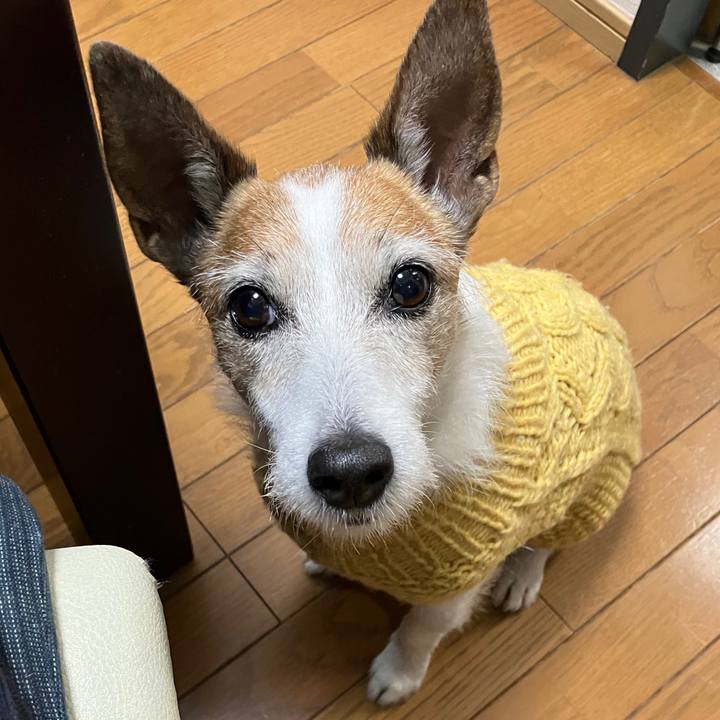 5ea02655 d06d 474a becb 848a6c241608 1708647901632