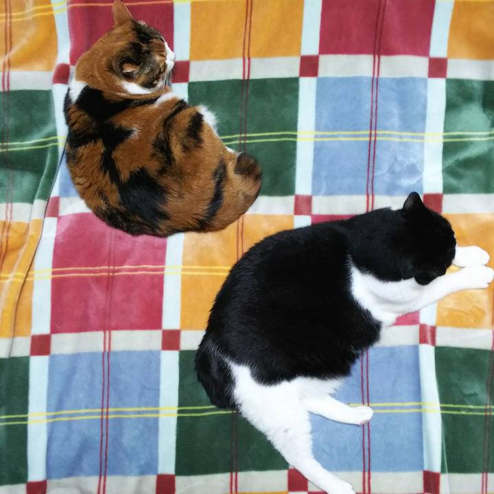 5ea027c3 1857 4a54 96fc ac6a50d73f0f 1538603029145