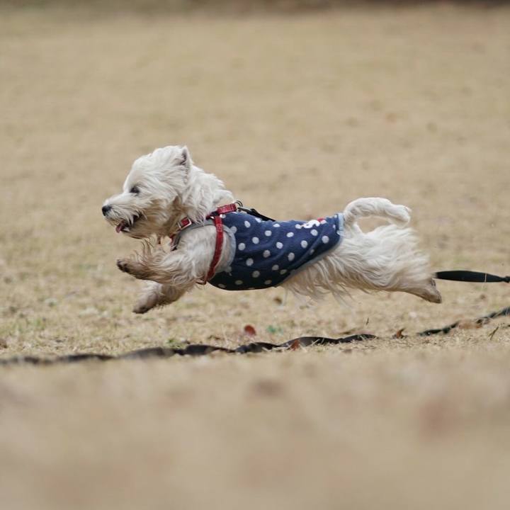 5ea0378e df7d 4d0d b8f9 39c59ee90b7c 1521446067885