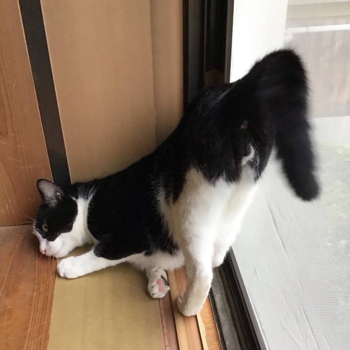 5ea046ec cf7a 4992 a013 ce9f1a510fd0 1724480002935