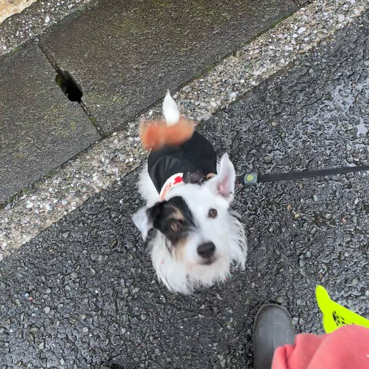 5ea057ac 4397 4958 bba0 be4fdb884c3d 1699748490775