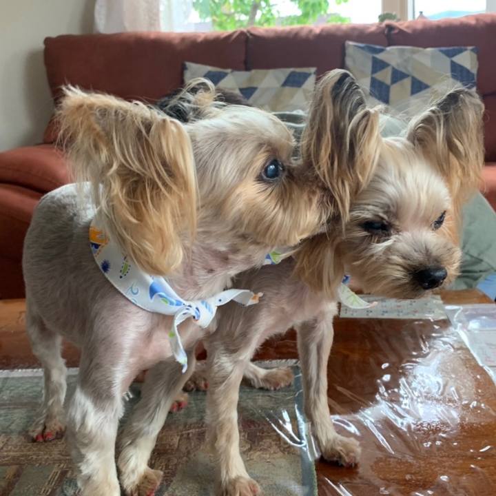 5ea05a59 087e 4bcb abe2 0874245f6c02 1660039263585