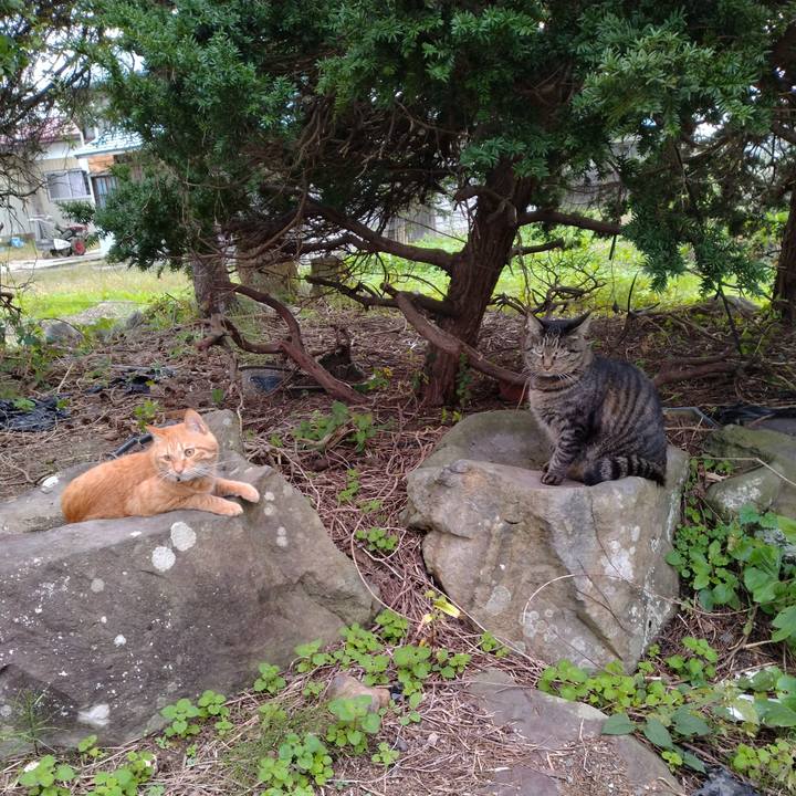 5ea07b79 d8b1 43ff a197 fac497b2f549 1665558702348